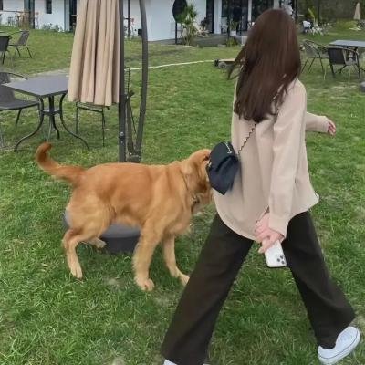 爱的一种练习